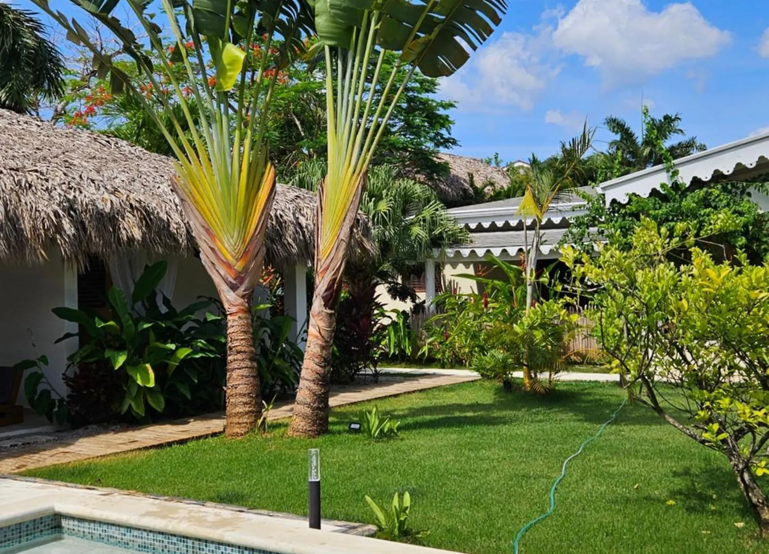 Bed & Breakfast Casa Shambala B&B Las Terrenas Dominican Republic