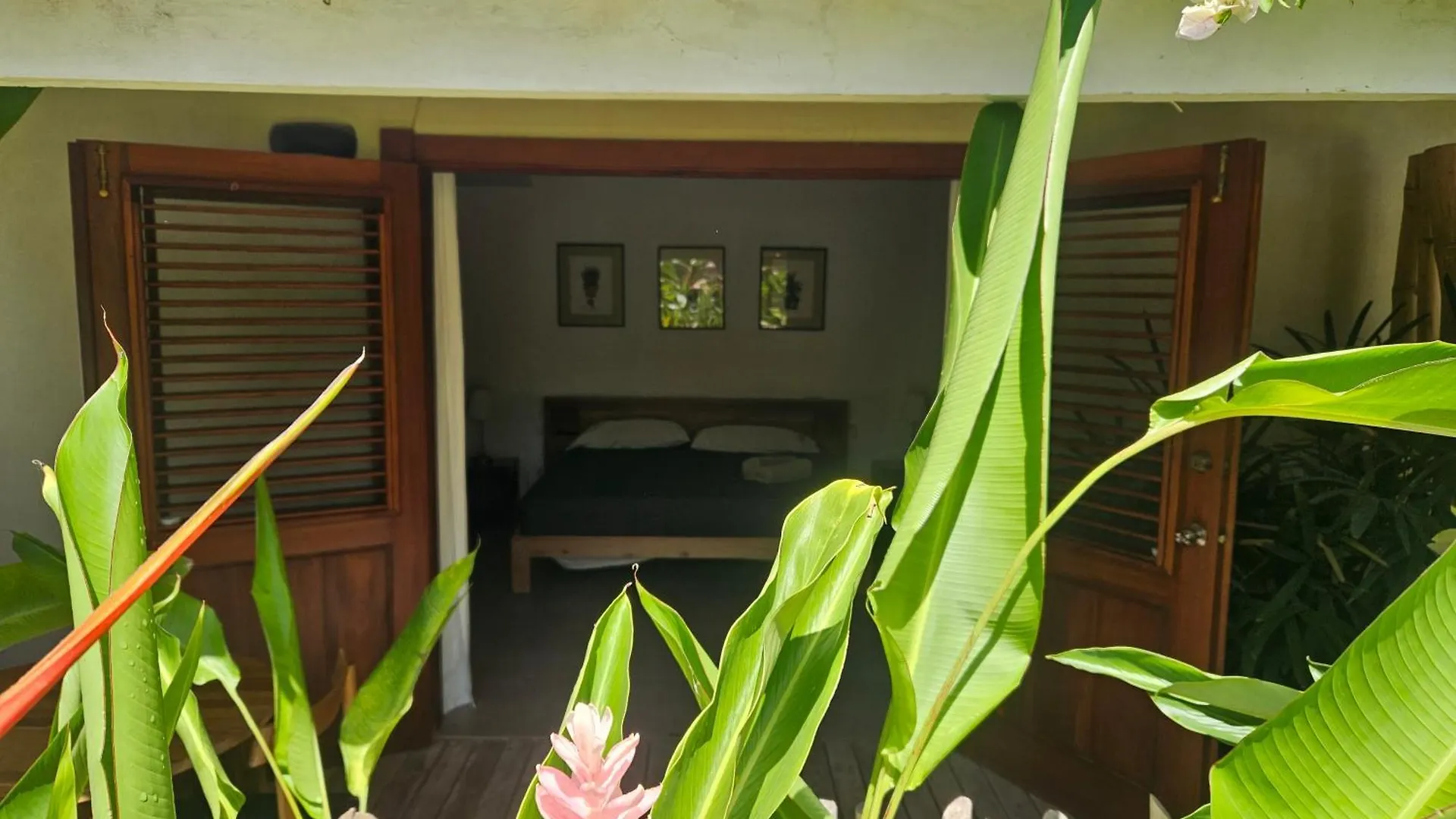 Casa Shambala B&B Las Terrenas República Dominicana