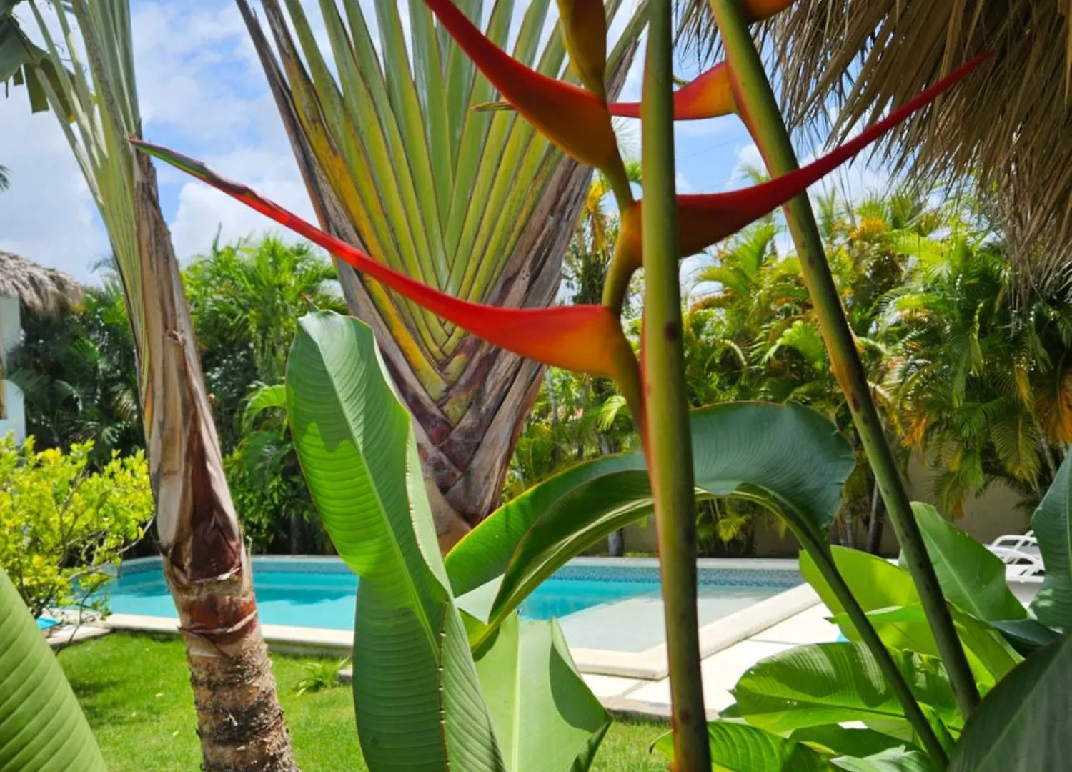 Casa Shambala B&B Las Terrenas Bed and breakfast